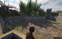 Mount & Blade Arena